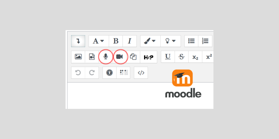 Screenshot Moodle